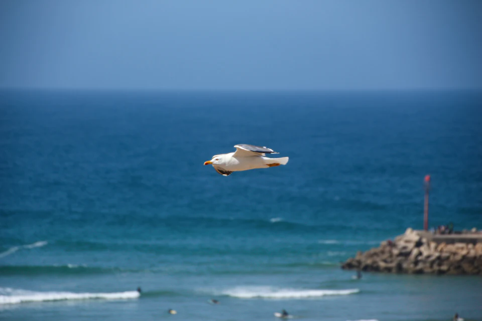 A boat on the Atlantic off Agadir, the beach city 250 km south-west of Marrakech by motorway.