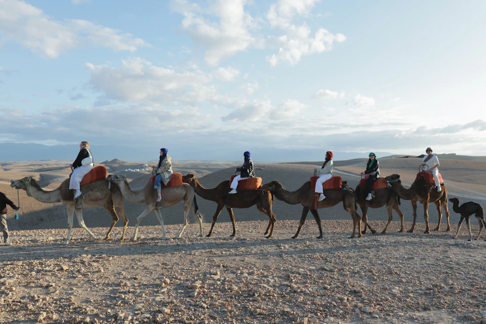 Private transfer from Marrakech Airport to Agafay Desert