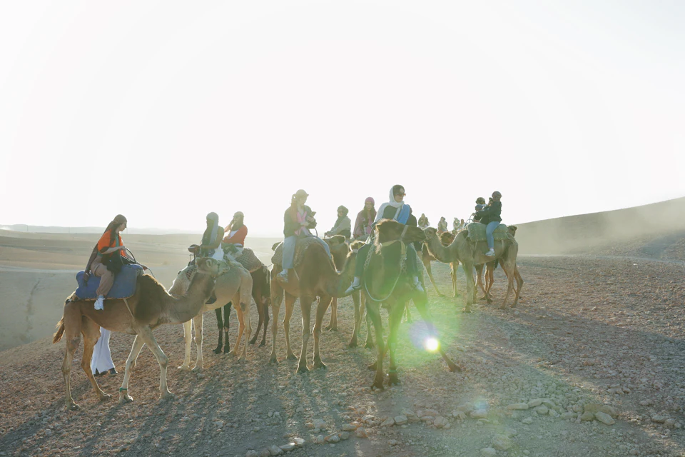 Camel caravan crossing the stony Agafay desert, the rocky plateau that lies about 35 km south-west of Marrakech.