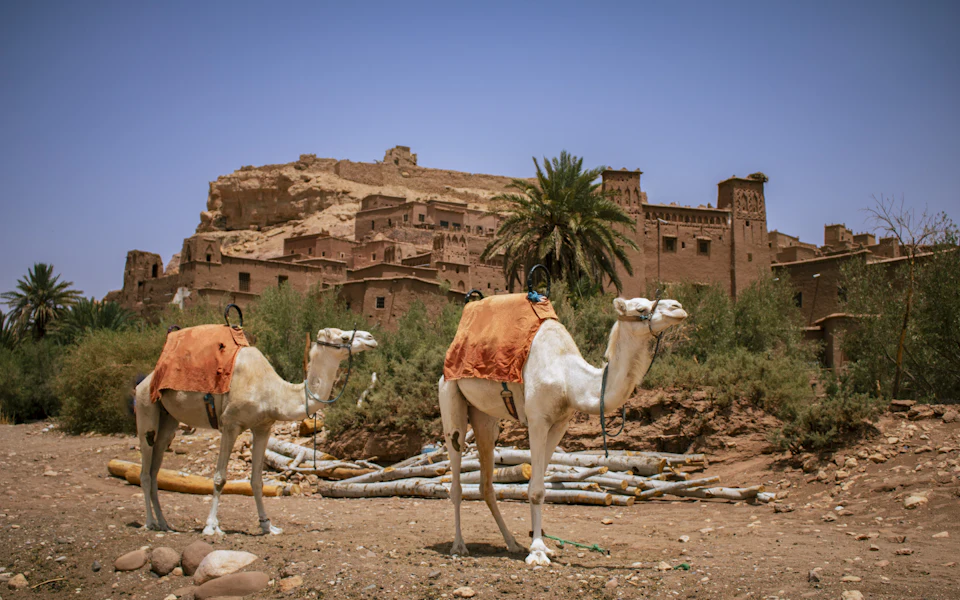 The mud-brick ksar of Aït Ben Haddou with a camel in the foreground, the goal of a long day trip from Marrakech