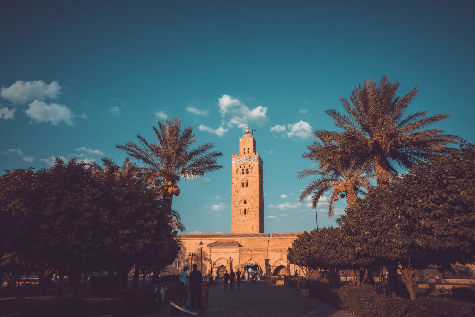Koutoubia mosque in Marrakech framed by trees Koutoubia mosque in Marrakech framed by trees