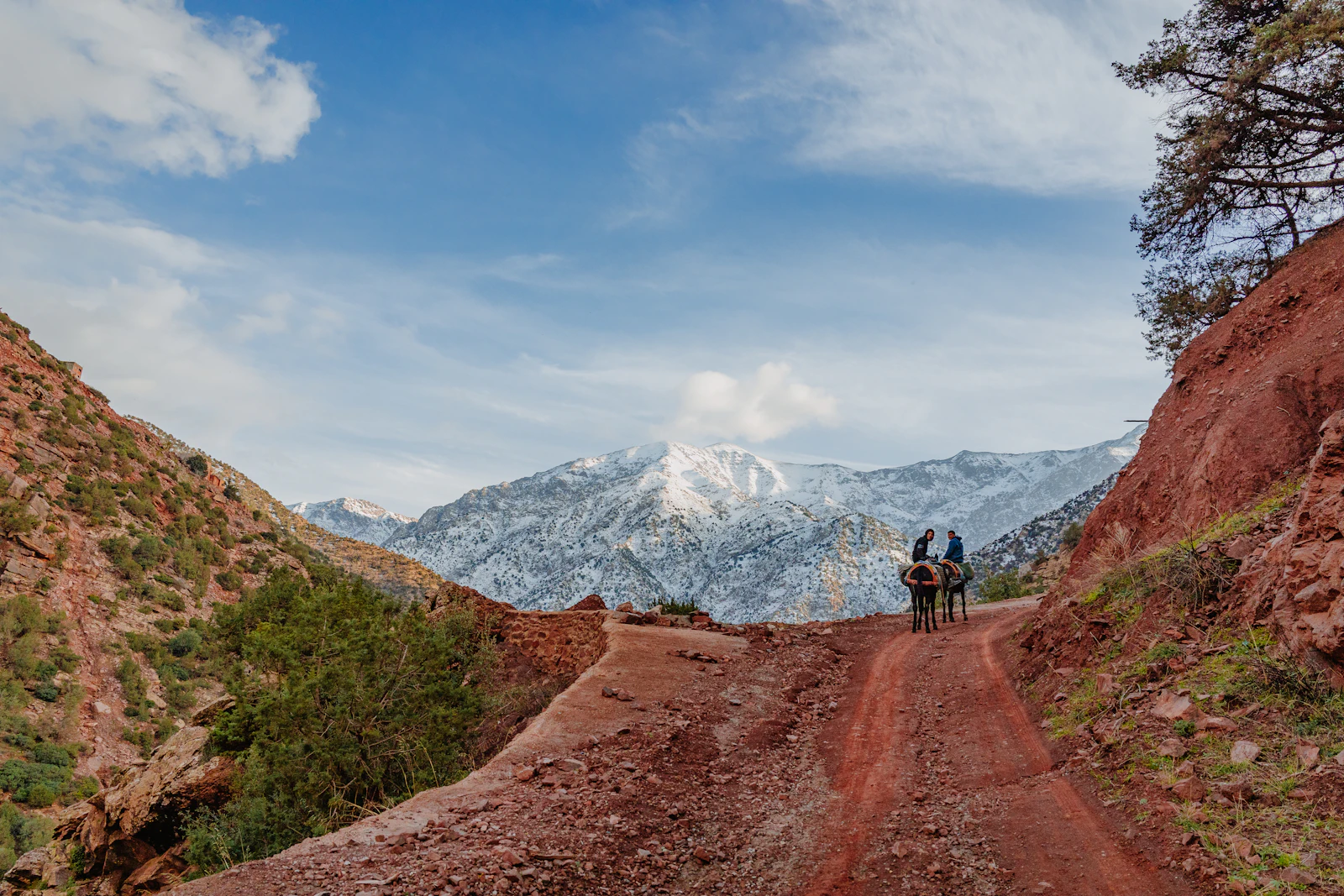 Private transfer from Marrakech Airport to Ourika Valley Private transfer from Marrakech Airport to Ourika Valley