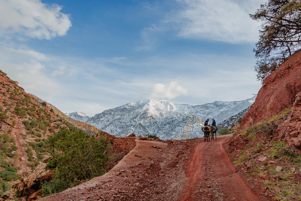 Private transfer from Marrakech Airport to Ourika Valley